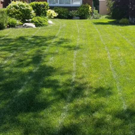 lawn-cutting-service-mississauga