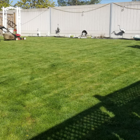 lawn-cutting-services-mississauga