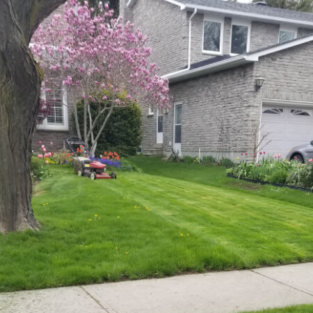 lawn-mowing-service-mississauga